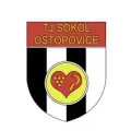 Sokol Ostopovice