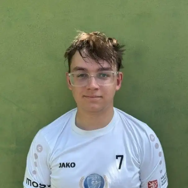 Vojtěch Šmahel