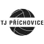 TJ Příchovice