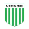 Sokol Krčín