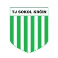 Sokol Krčín